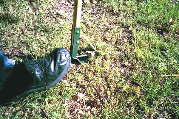 Suitable for all Broad Leaf Weeds Enviromentaly Friendly No need for Poisons