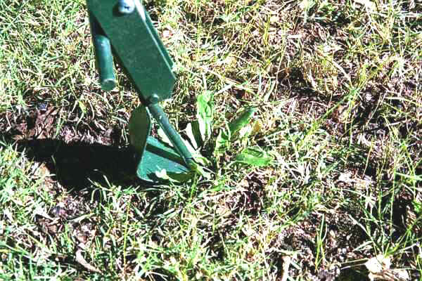 Gepec Weeders save you Time in the Garden